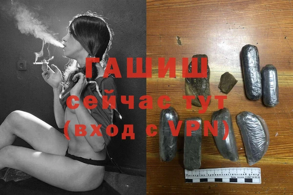 мяу мяу мука Волоколамск