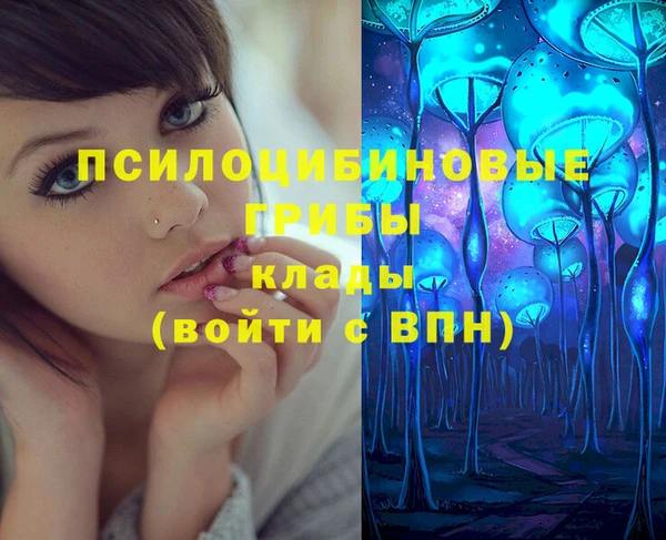 мяу мяу мука Волоколамск